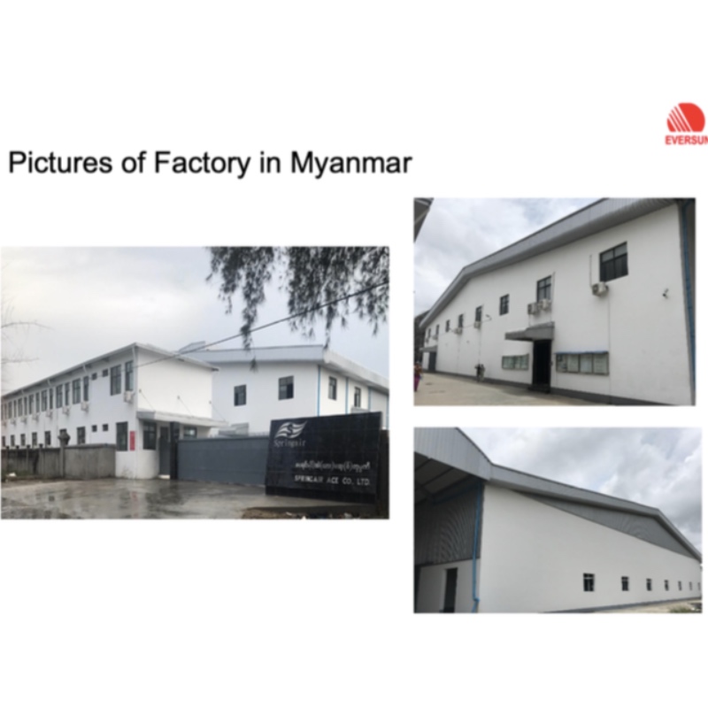 Πλήρης ιδιοκτησία εργοστάσιο της Μιανμάρ